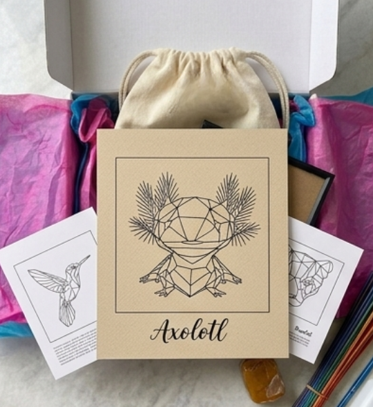 Axolotl 
