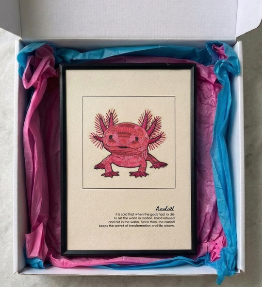 Axolotl